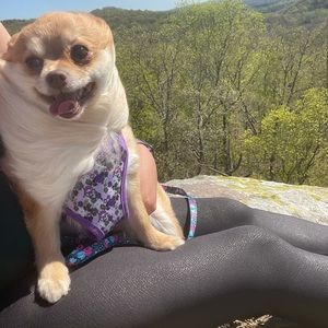 Meet your Posher, Ashley